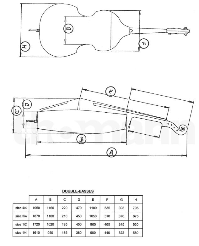 低音提琴尺寸規格