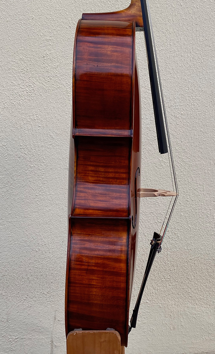 大提琴側板